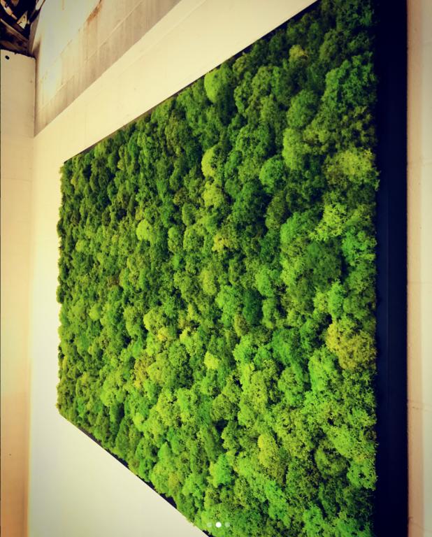 New Office Parts and Accessories : Acoustical Solutions Moss Wall ...